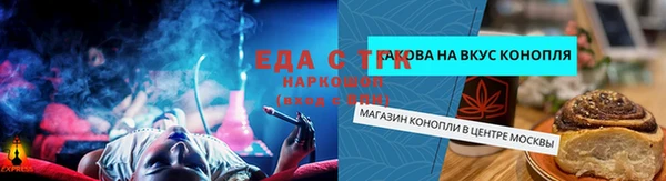 стаф Алексин