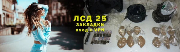 стаф Алексин