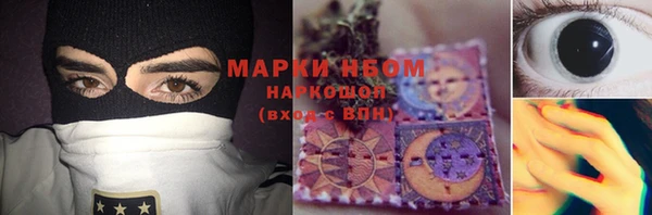 стаф Алексин