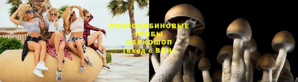 стаф Алексин