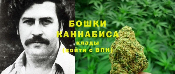 шишки Алексеевка