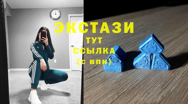стаф Алексин