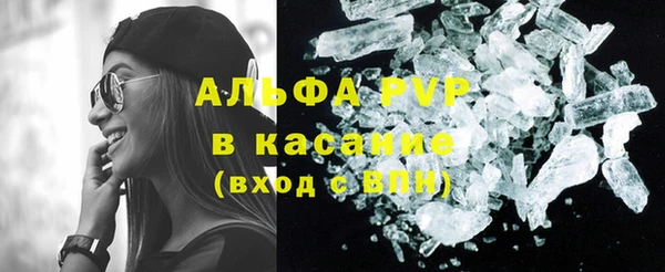 стаф Алексин